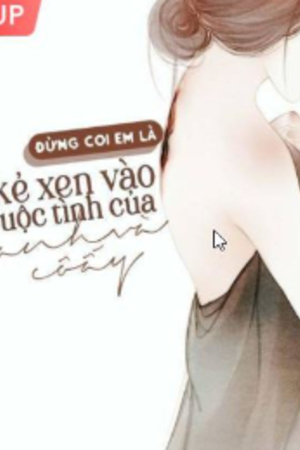 Đừng Coi Em Là Kẻ Xen Vào Cuộc Tình Của Anh Và Cô Ấy - Lâm Mỹ Lam - Hứa Cảnh Sâm