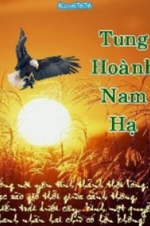 [Việt Nam] Tung Hoành Nam Hạ