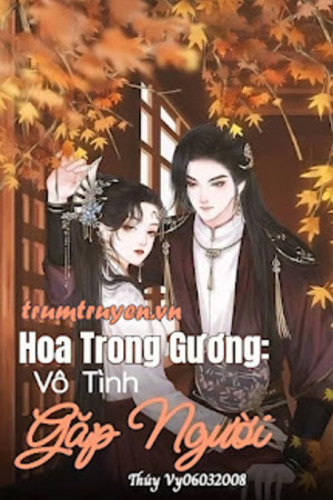 Hoa Trong Gương: Vô Tình Gặp Người