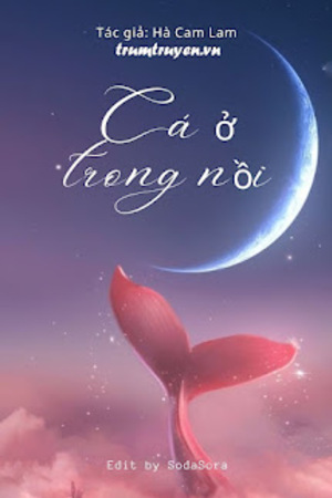 Cá Ở Trong Nồi - Hà Cam Lam