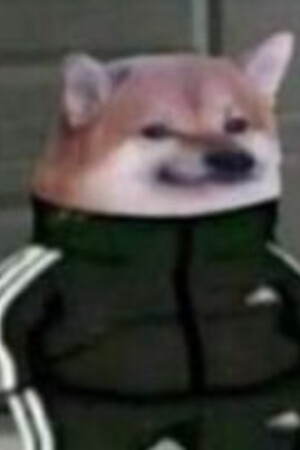 Tín Mùa Hè
