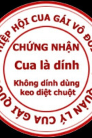 Nhạc Phim EDM