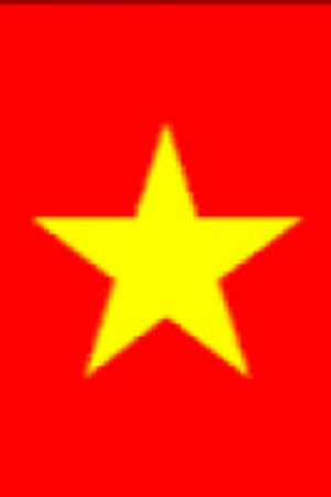 Toàn Nguyễn hưng