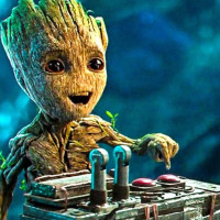 Groot